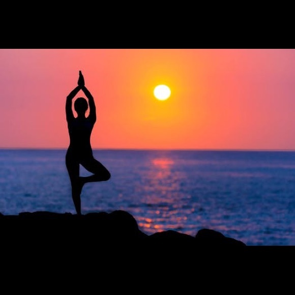 Meet your Posher, Cat - Picture 2 of 2